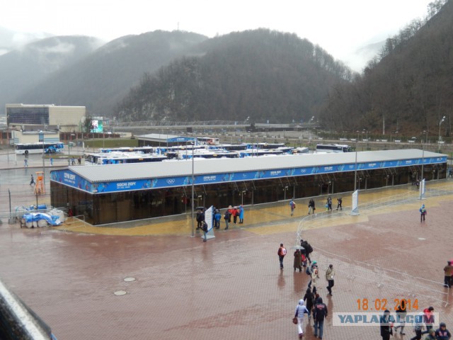 Два дня на Олимпиаде