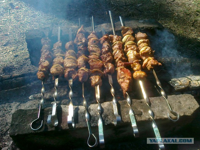 Сезон открыт!