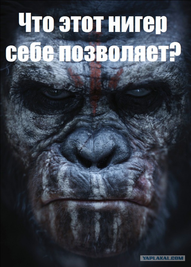 Если хозяин с тобой...