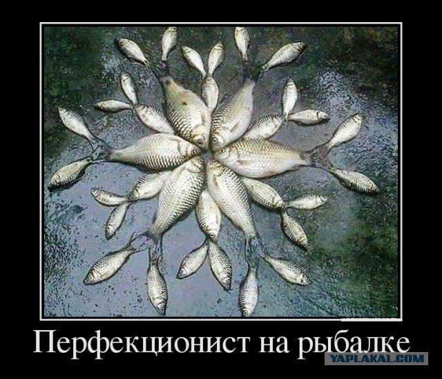 Демотиваторы дня