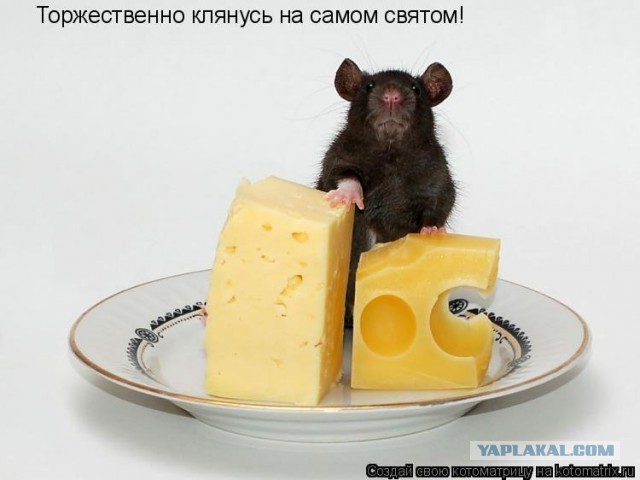 Два письма и посылка
