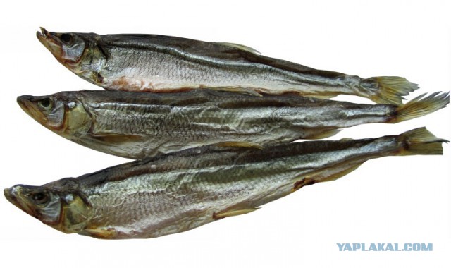 Какие продукты уникальны для Вашего региона?