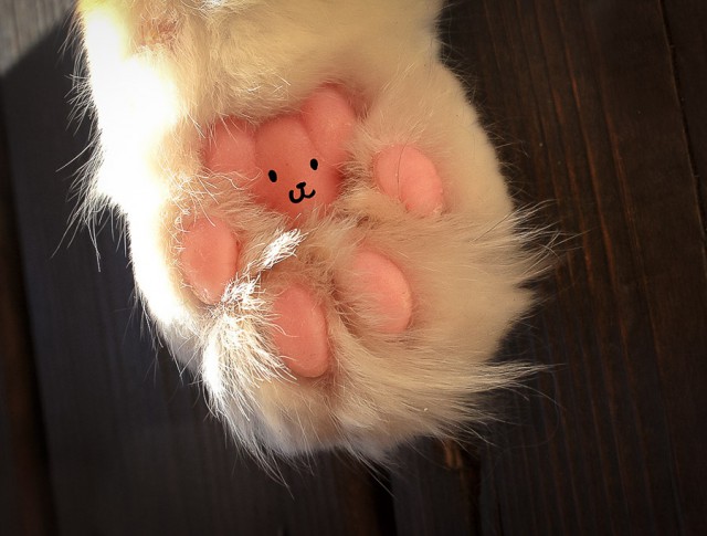 Котэподборка