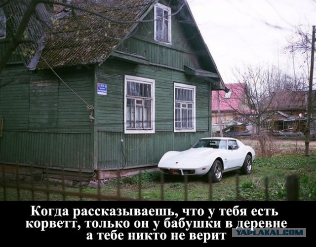 Прикольные картинки