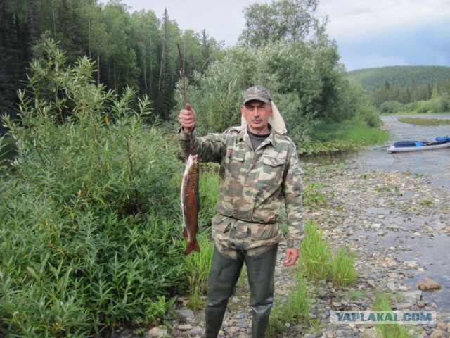 Сибирь 2015