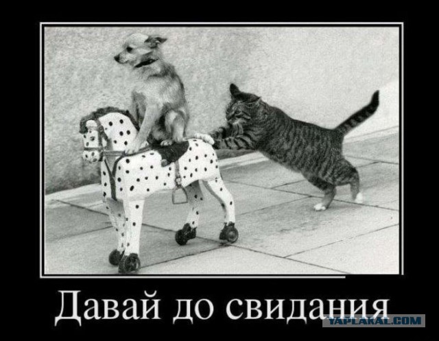 Вот и меня предали...