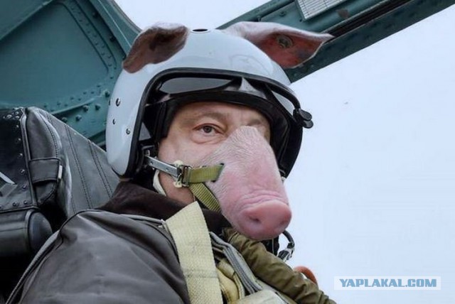 Турчинов призвал НАТО сбивать военные самолеты России