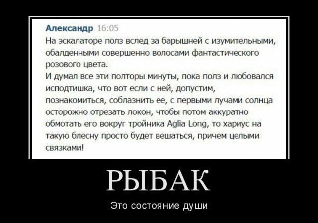 Демы без Темы