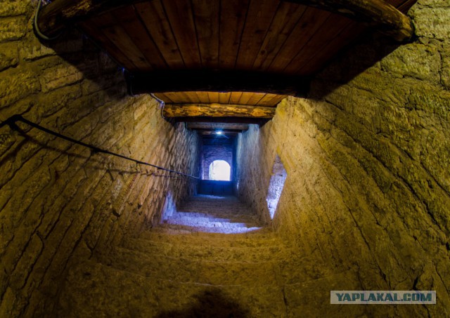 Как мы купили машину и попали в «Орешек»