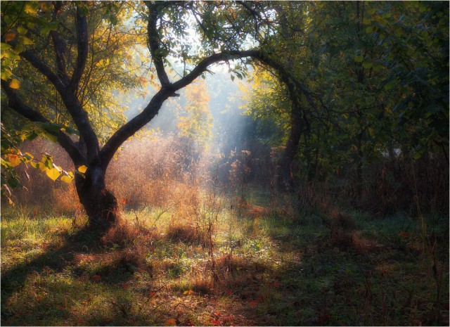 Позитива пост