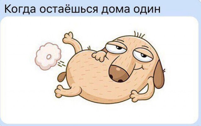 Юмор не для всех