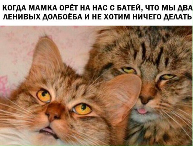 Подборка интересных и веселых картинок