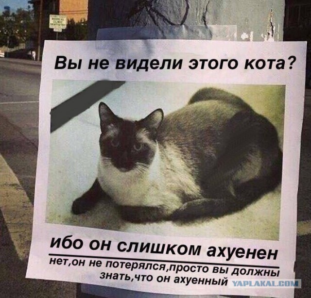 Тупеж и деградация