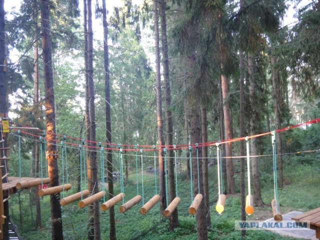 Главный герой сериала «Стрела» с первого раз прошёл полосу препятствий на телешоу