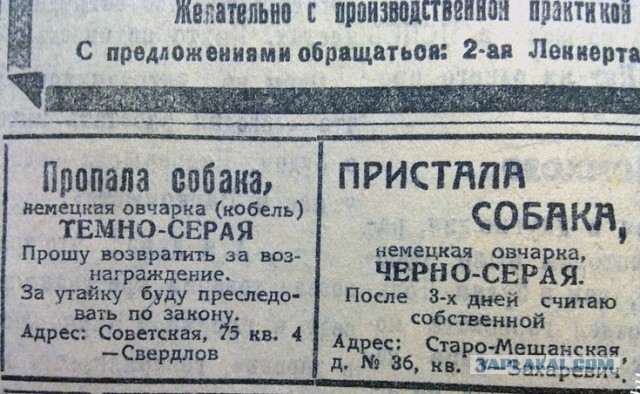Всяко-разно. Юморок