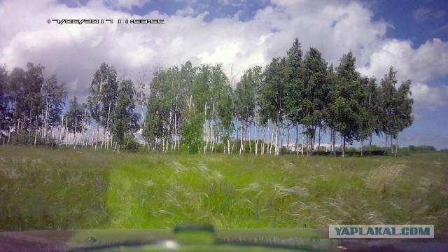Об июньских грибах Оренбуржья.