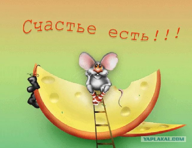 ВЦИОМ: уровень счастья россиян достиг исторического максимума!