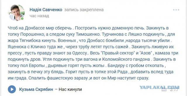 Смешные комментарии из социальных сетей 10.11.2017