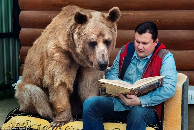 Живность из сети