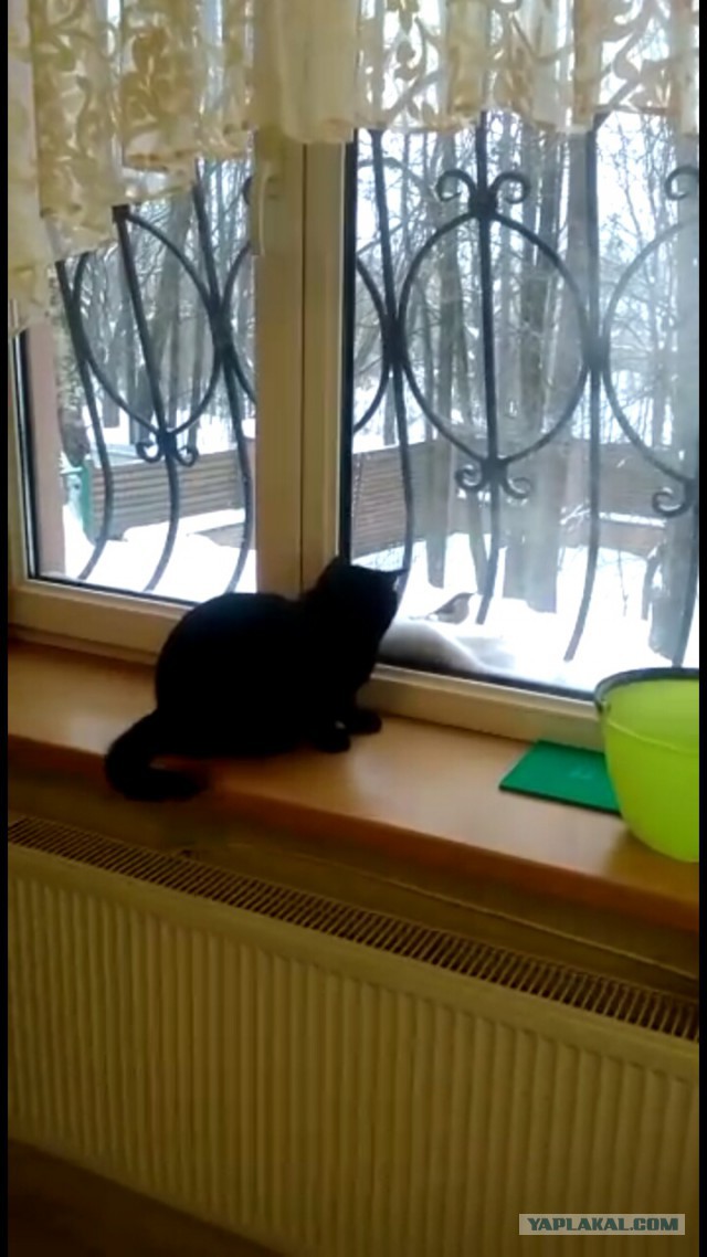 Внимание! Открывается новый пафосный ресторан. Не для обычных граждан.