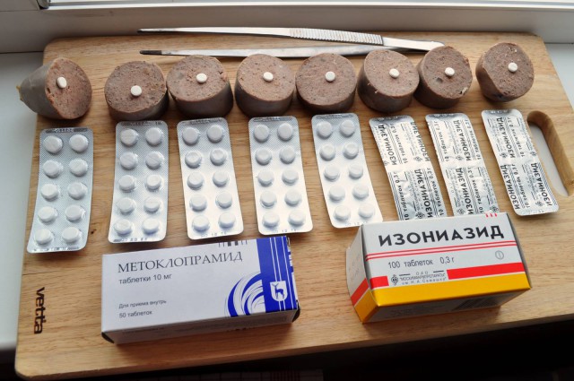 Снова чуть не разорвали, хорошо папа спас