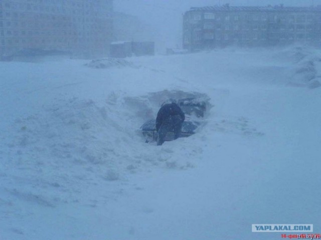 Подснежники гробы. г. Норильск