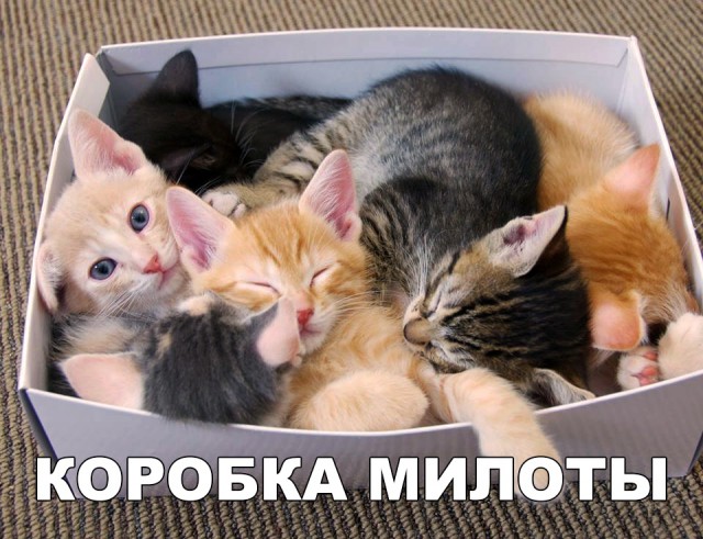 Нестандартный юмор
