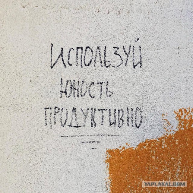 «Бродячие» философы: 17 глубокомысленных заметок в транспорте и на улицах