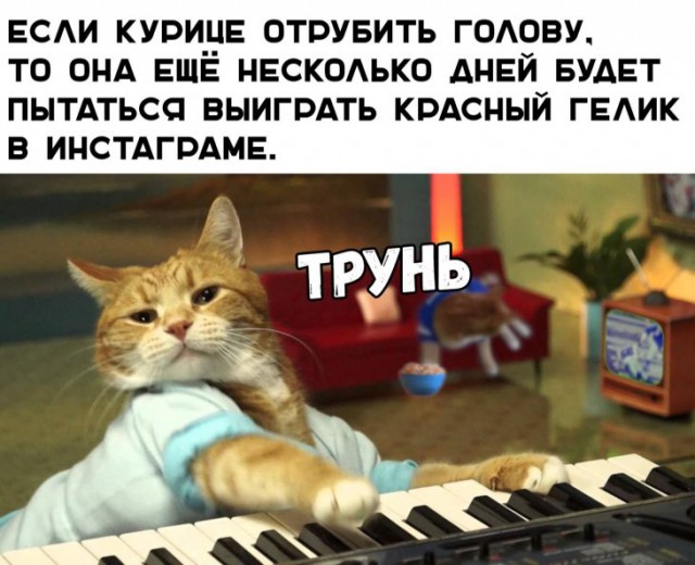 Немного картинок для настроения