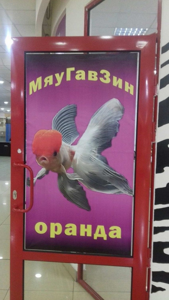 Скотсети и прочие интернеты 28.05.2019