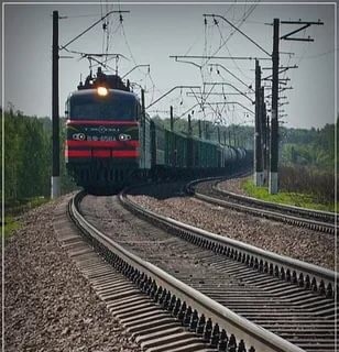 Про безопасность, глупость и сохранность жизни