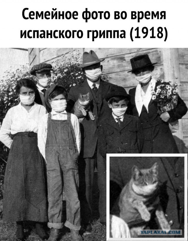 Еще 15 причин никогда не жениться