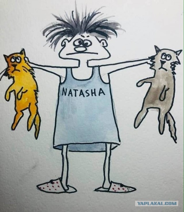 Наташа, просыпайся, вторник же