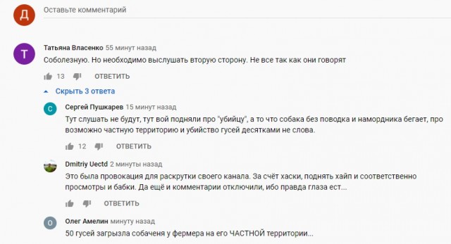 «За пять минут 50 гусей перегрызла»: челябинский охотник, застреливший хаски, рассказал свою версию