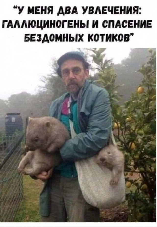 Юмор в картинках