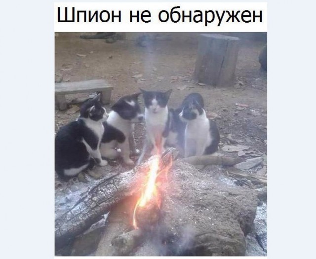 Картинки и мемы для настроения 002