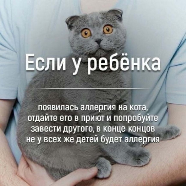 Картинки и мемы для настроения 26.03.2021