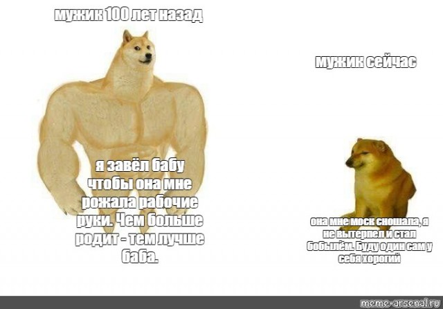 Жизнь трезвого холостяка