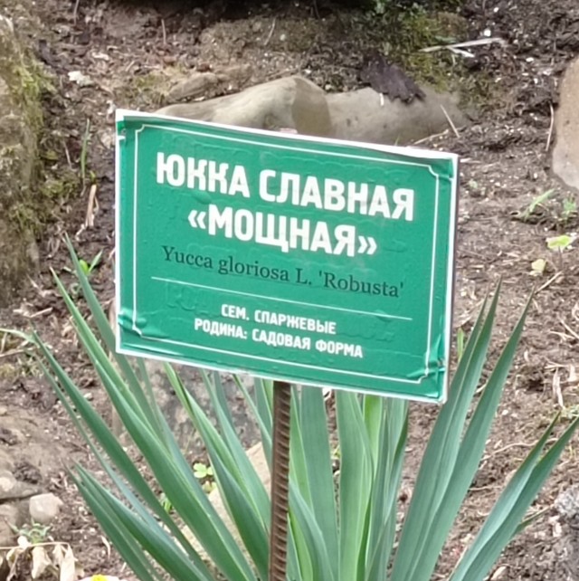 Утепление и отделка лоджии