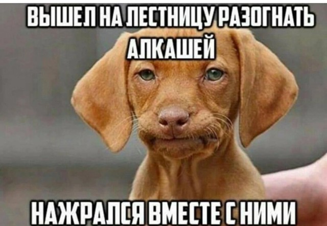 Алкопост 5.11.21