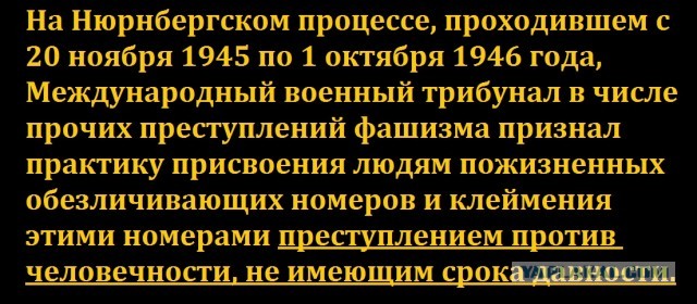 Раскрыты детали и сроки введения QR-кодов по всей России