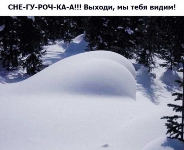 Пятница. И немного слегка пошлых картинок с надписями и без 16+ (10.12)
