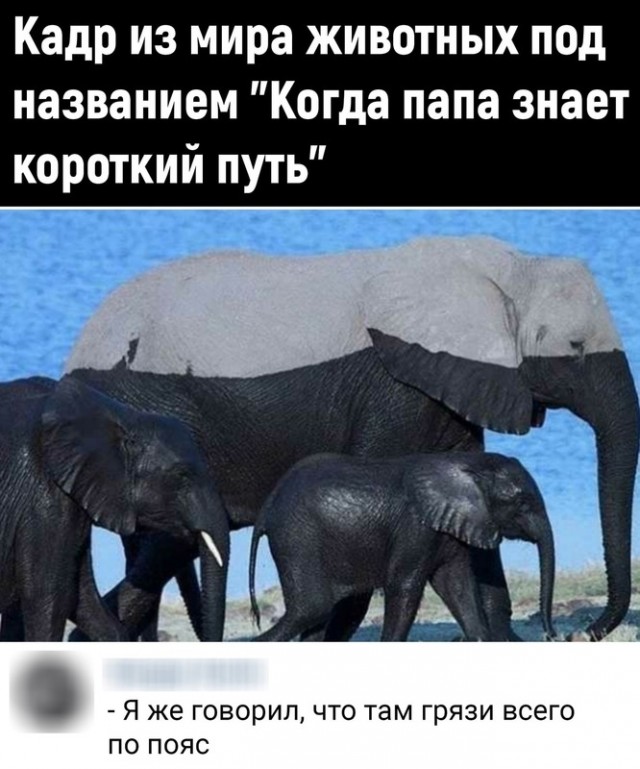 Смешные комментарии из социальных сетей 31.12.21