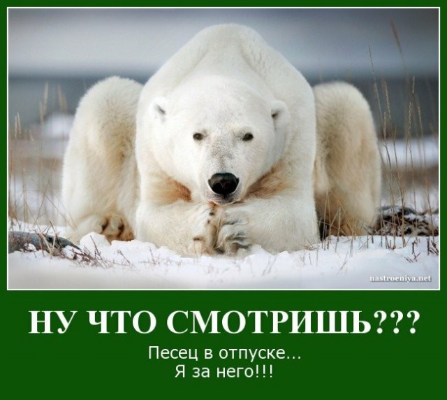 Срочное обращение Путина по вопросу признания ДНР и ЛНР. Прямая трансляция по итогам Совбеза