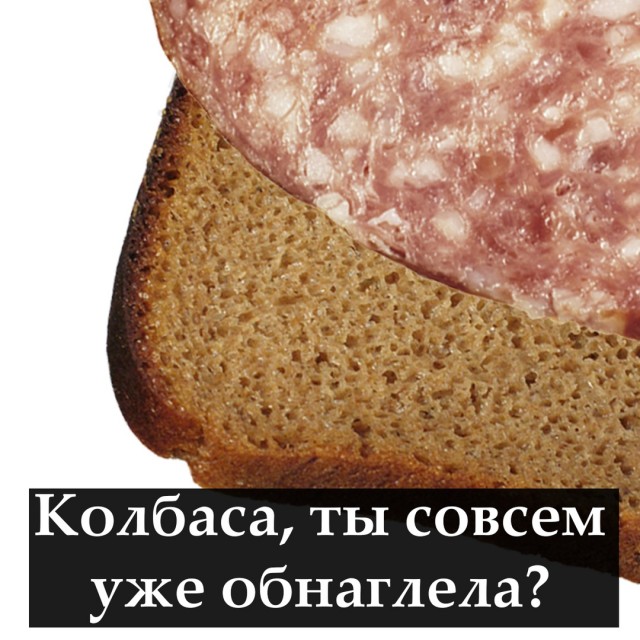 В Бундестаге потребовали выслать посла Украины за оскорбление Шольца