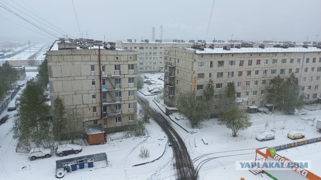 Шел третий день июнобря. С картинками