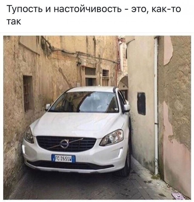 Так себе картинки 23.06.22