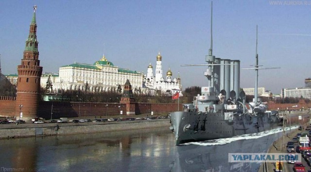 Песков назвал реакцию части общества на мобилизацию «истеричной»