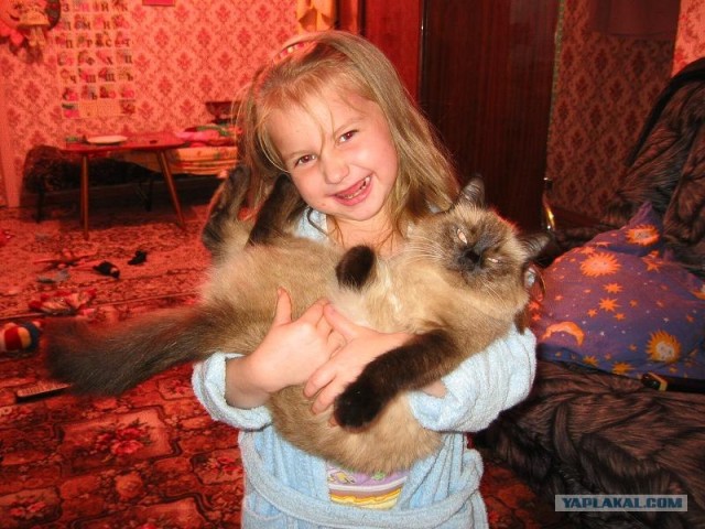 Хороший отдых