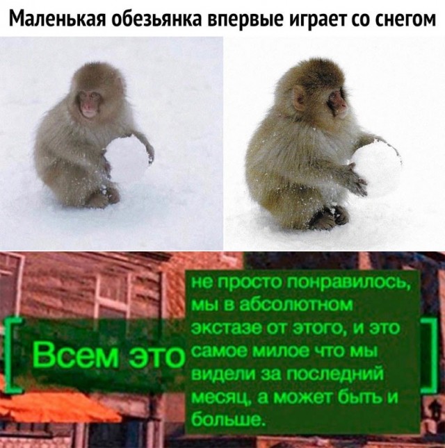Немного картинок для настроения - 131